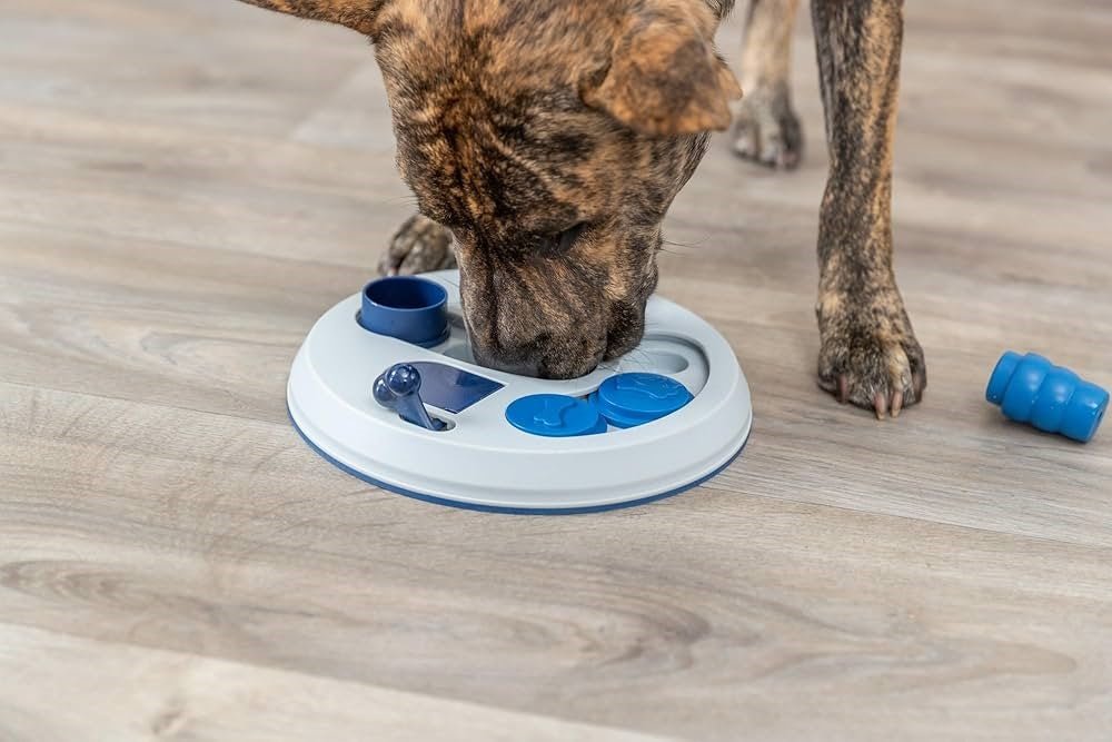 interactieve spellen je hond mentaal stimuleren? - Hondenweer